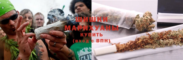 ECSTASY Дмитриев